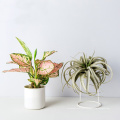 Metal flowerpot stand Office Plant Pot